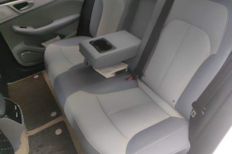 Used Rising ER6 2021 New Dynamic Edition 520km Smart Leading Version Left Rear Seat