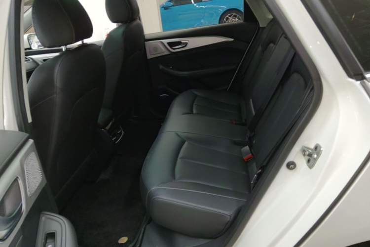 Used Rising ER6 2021 New Dynamic Edition 620km Smart Drive Version Left Rear Seat