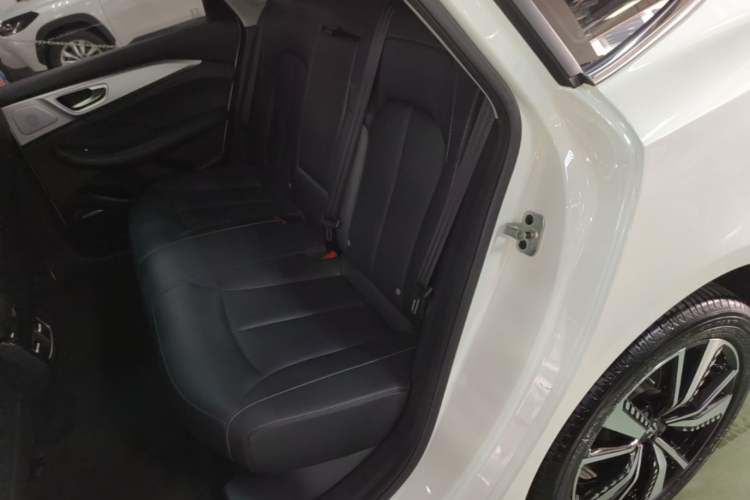 Used Rising ER6 2021 New Dynamic Edition 520km Smart Leading Version Left Rear Seat
