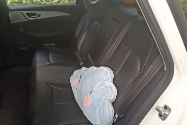 Used Rising ER6 2021 New Dynamic Edition 620km Smart Drive Version Left Rear Seat