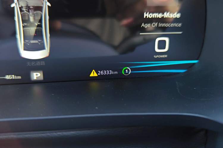 Used Rising ER6 2021 New Dynamic Edition 620km Smart Enjoyment Version Odometer Close Up