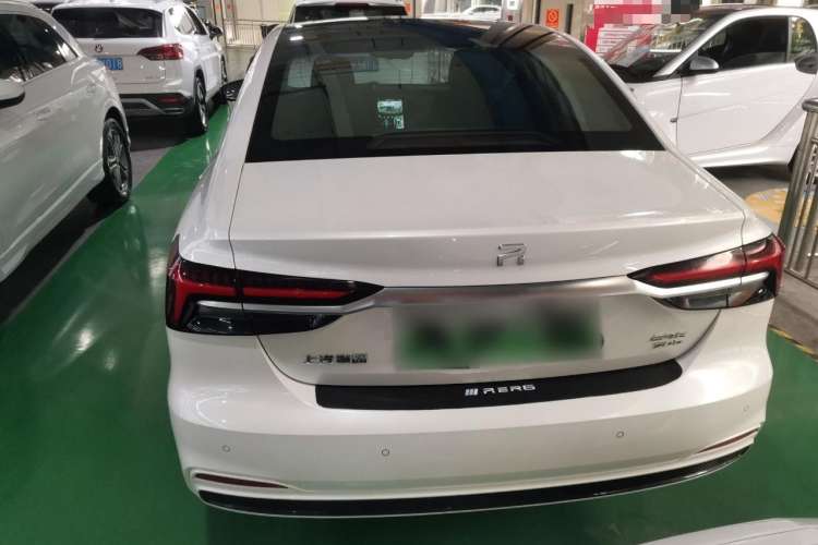 Used Rising ER6 2021 New Dynamic Edition 620km Smart Enjoyment Version Rear