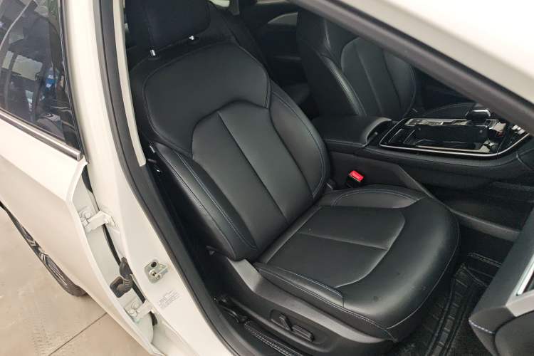 Used Rising ER6 2021 New Dynamic Edition 620km Smart Enjoyment Version Right Front Seat