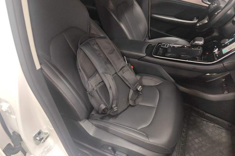Used Rising ER6 2021 New Dynamic Edition 520km Smart Leading Version Right Front Seat