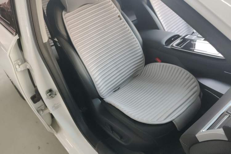 Used Rising ER6 2021 New Dynamic Edition 620km Smart Enjoyment Version Right Front Seat