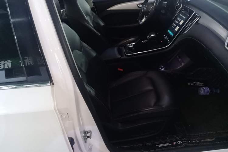 Used Rising ER6 2021 New Dynamic Edition 520km Smart Leading Version Right Front Seat
