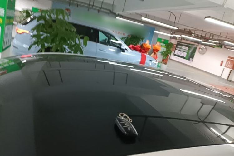 Used Rising ER6 2021 New Dynamic Edition 620km Smart Enjoyment Version Roof