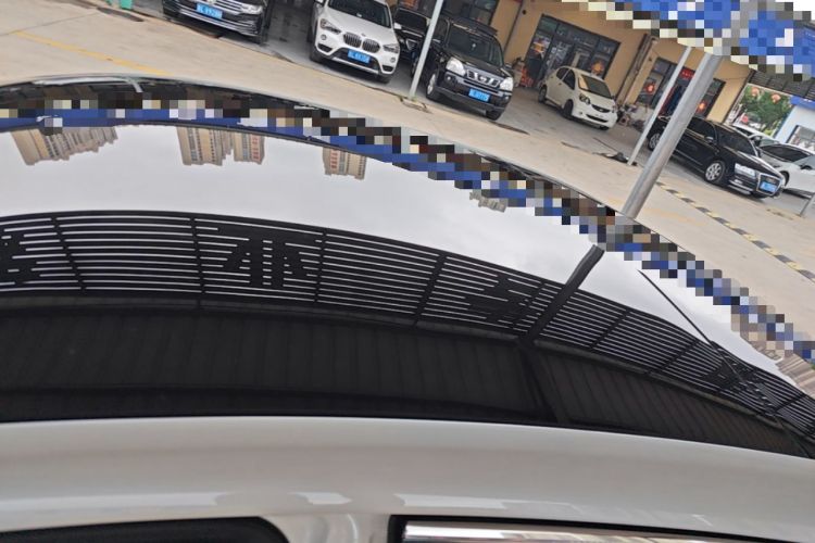 Used Rising ER6 2021 New Dynamic Edition 520km Smart Leading Version Roof