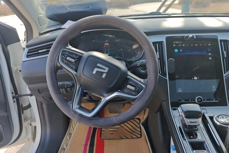 Used Rising ER6 2021 New Dynamic Edition 620km Smart Drive Version Steering Wheel
