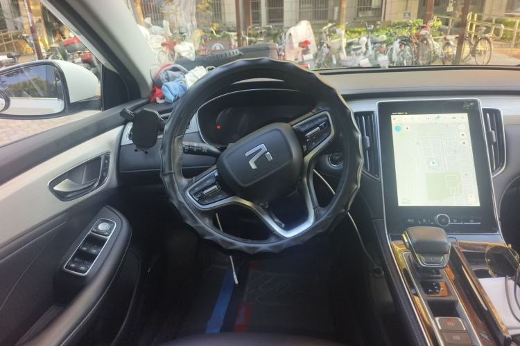 Used Rising ER6 2021 New Dynamic Edition 620km Smart Enjoyment Version Steering Wheel