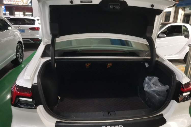 Used Rising ER6 2021 New Dynamic Edition 620km Smart Enjoyment Version Trunk