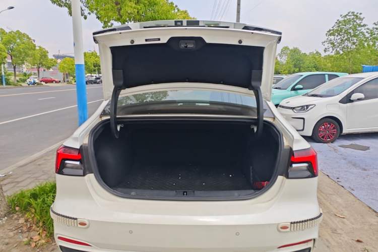 Used Rising ER6 2021 New Dynamic Edition 620km Smart Drive Version Trunk