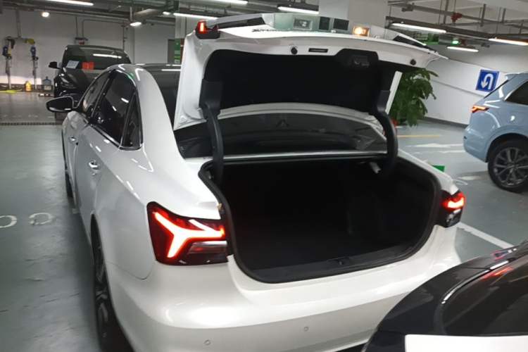 Used Rising ER6 2021 New Dynamic Edition 620km Smart Enjoyment Version Trunk