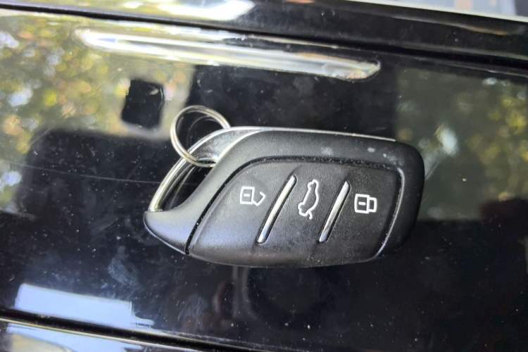 Used Rising ER6 2021 New Dynamic Edition 620km Smart Enjoyment Version Vehicle Key