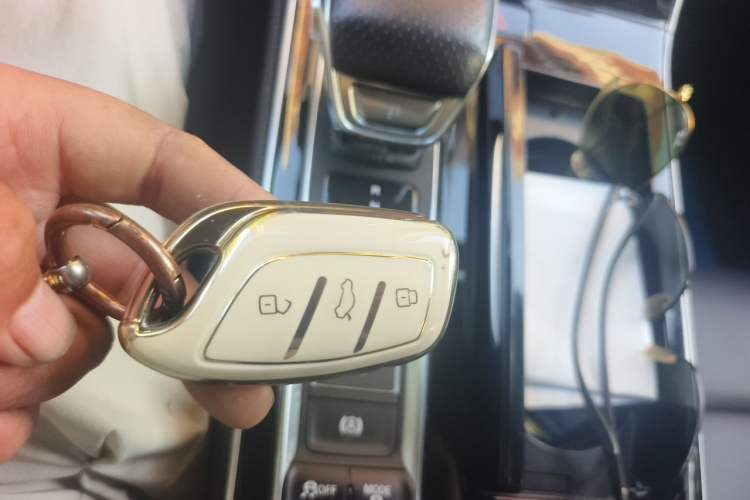 Used Rising ER6 2021 New Dynamic Edition 620km Smart Enjoyment Version Vehicle Key