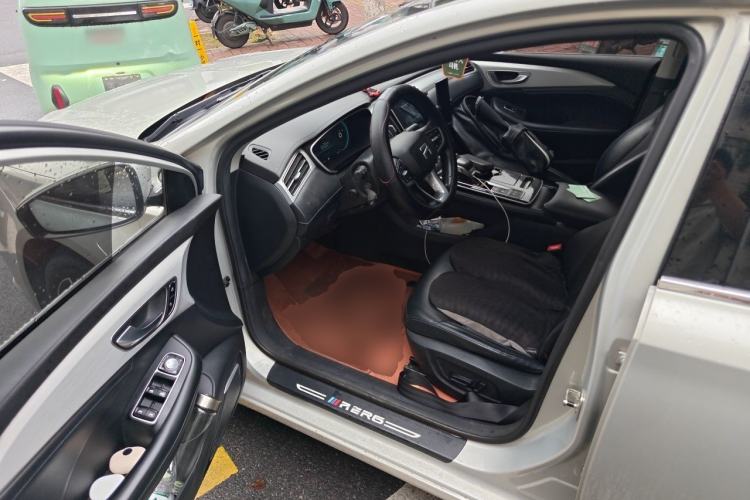 Used Rising ER6 2021 New Dynamic Edition 620km Smart Enjoyment Version Driver Seat