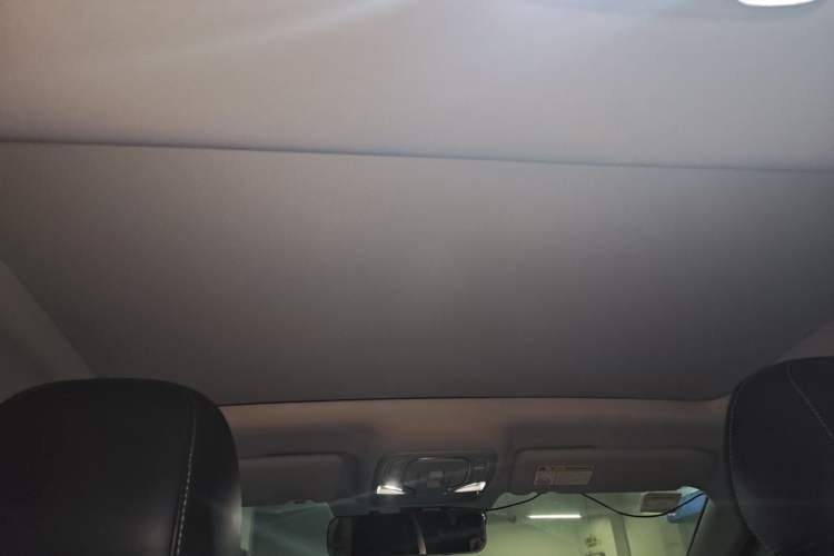 Used Rising ER6 2021 New Dynamic Edition 620km Smart Drive Version Headliner