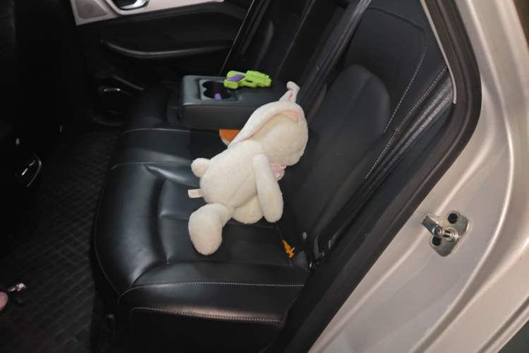 Used Rising ER6 2021 New Dynamic Edition 620km Smart Drive Version Interior 4