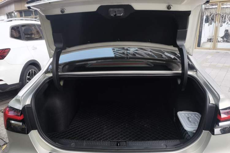 Used Rising ER6 2021 New Dynamic Edition 620km Smart Enjoyment Version Trunk