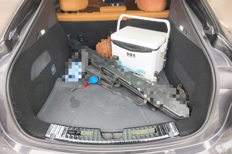 Used Rising F7 2023 Advanced Edition Trunk