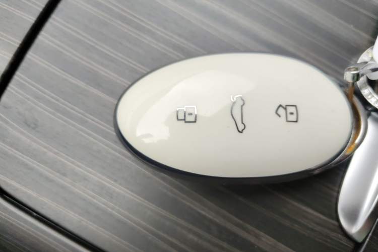 Used Rising F7 2023 Advanced Edition Vehicle Key