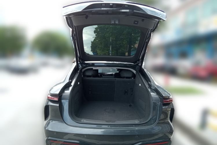 Used Rising F7 2023 Advanced Edition Trunk