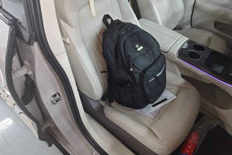 Used Rising F7 2023 Advanced Edition Right Front Seat