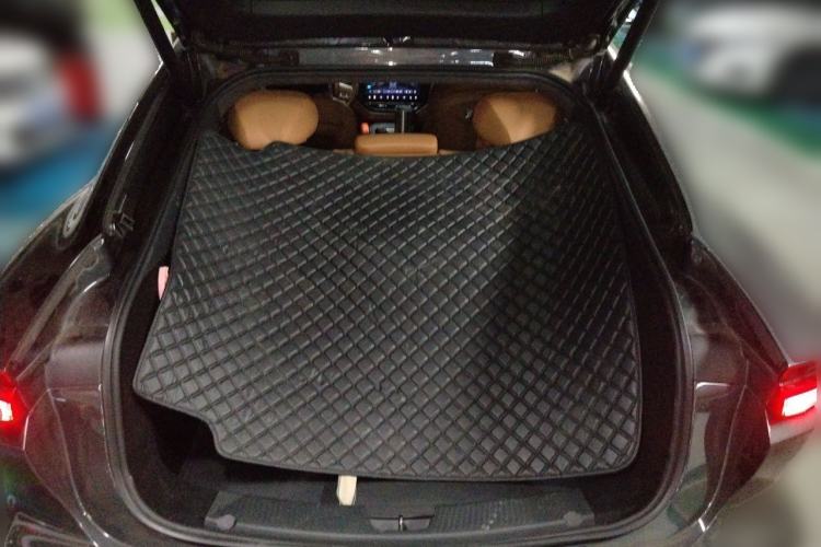 Used Rising F7 2023 Advanced Pro Edition Trunk