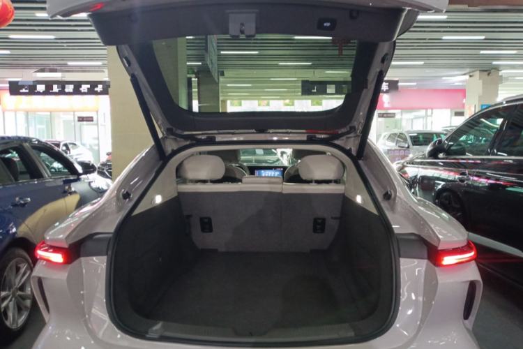 Used Rising F7 2023 Revised Version Performance Pro Edition Trunk