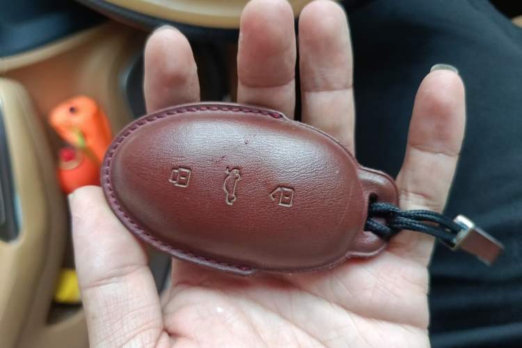 Used Rising F7 2023 Advanced Edition Vehicle Key