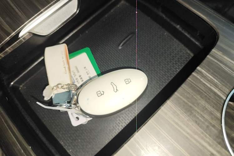 Used Rising F7 2023 Advanced Pro Edition Vehicle Key