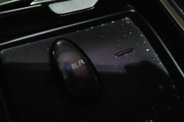 Used Rising F7 2023 Advanced Edition Vehicle Key