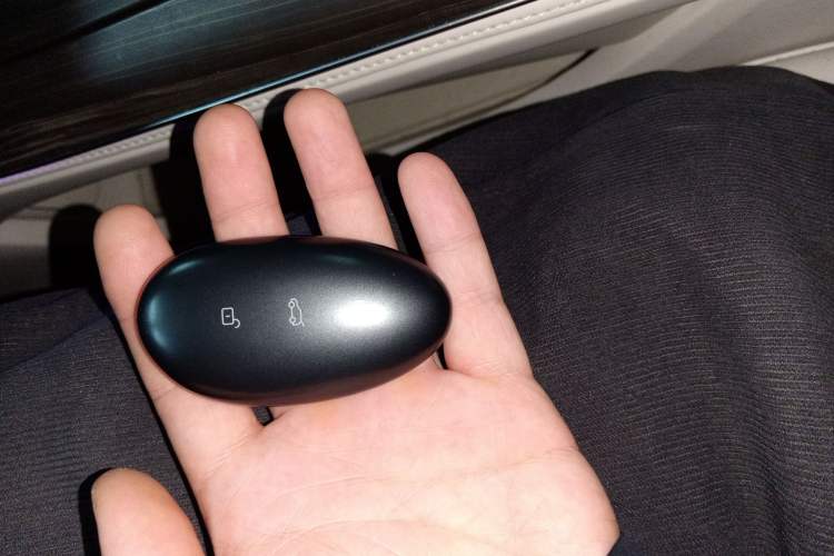 Used Rising F7 2023 Long-Range Pro Edition Vehicle Key