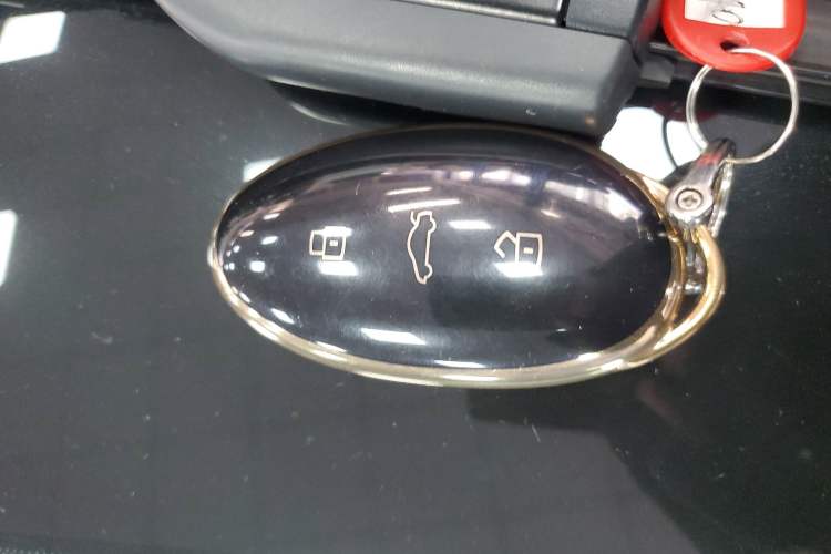 Used Rising F7 2023 Advanced Edition Vehicle Key