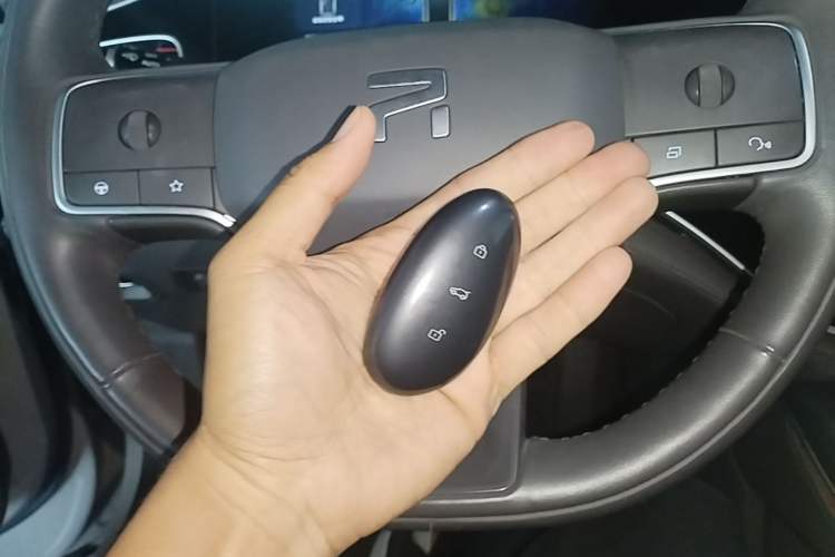Used Rising F7 2023 Long-Range Pro Edition Vehicle Key