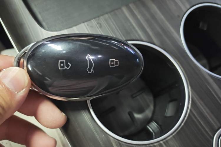 Used Rising F7 2023 Long-Range Edition Vehicle Key