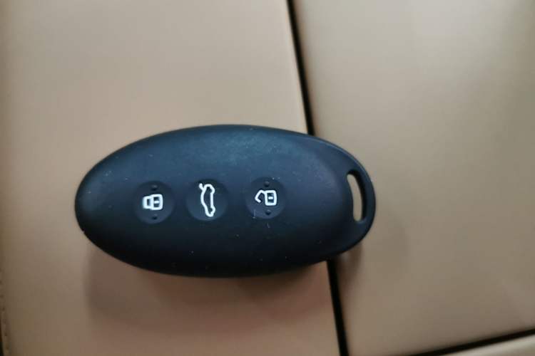 Used Rising F7 2023 Advanced Edition Vehicle Key