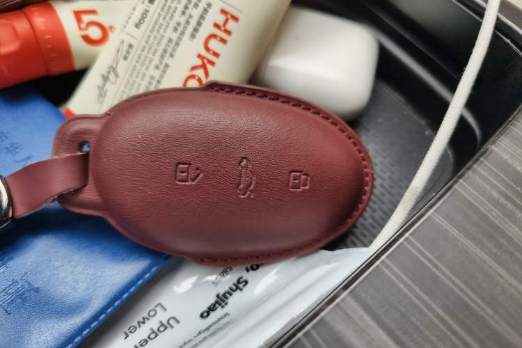 Used Rising F7 2023 Advanced Edition Vehicle Key