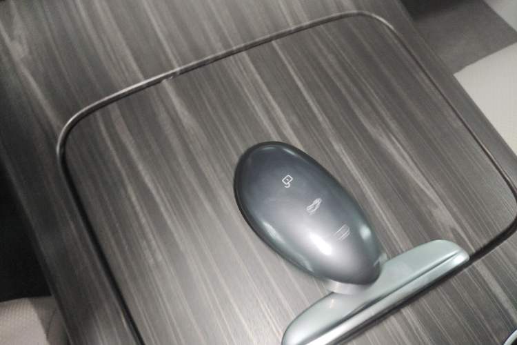 Used Rising F7 2023 Advanced Edition Vehicle Key