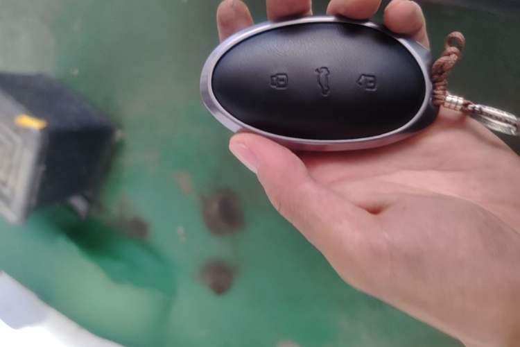 Used Rising F7 2023 Advanced Edition Vehicle Key