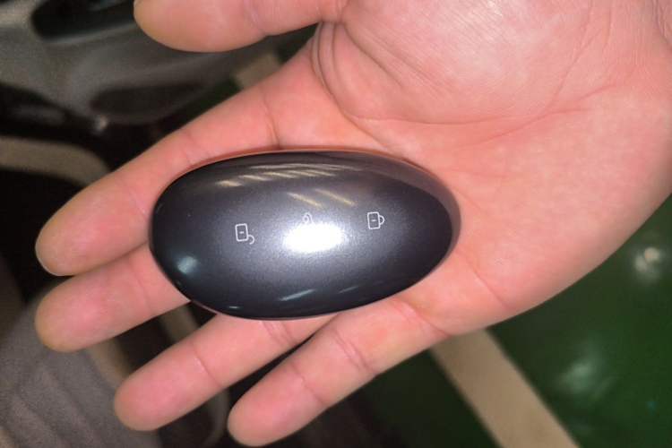 Used Rising F7 2023 Long-Range Pro Edition Vehicle Key