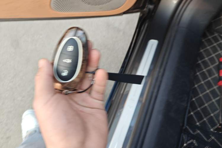 Used Rising F7 2023 Advanced Edition Vehicle Key