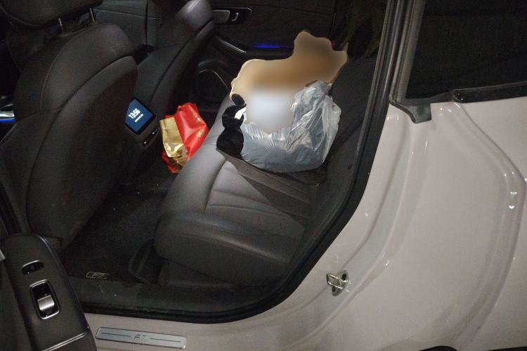 Used Rising F7 2023 Advanced Edition Left Rear Seat