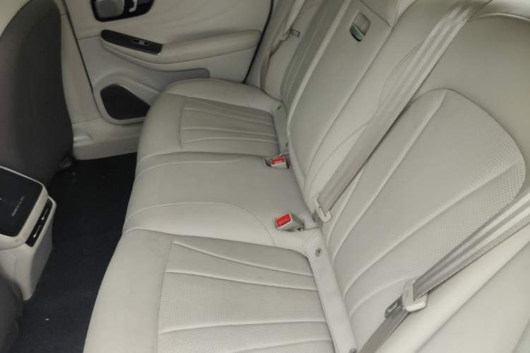 Used Rising F7 2023 Revised Version Long-Range Pro Edition Left Rear Seat