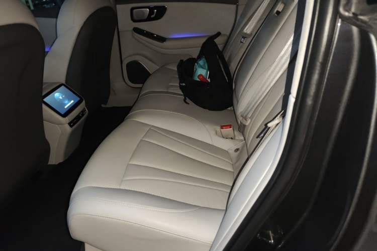 Used Rising F7 2023 Advanced Edition Left Rear Seat