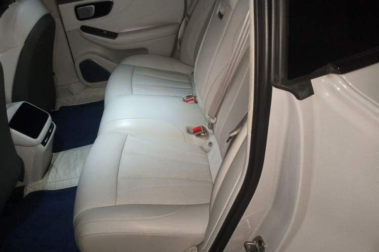 Used Rising F7 2023 Advanced Pro Edition Left Rear Seat