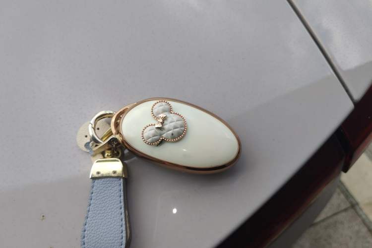 Used Rising F7 2023 Advanced Edition Vehicle Key