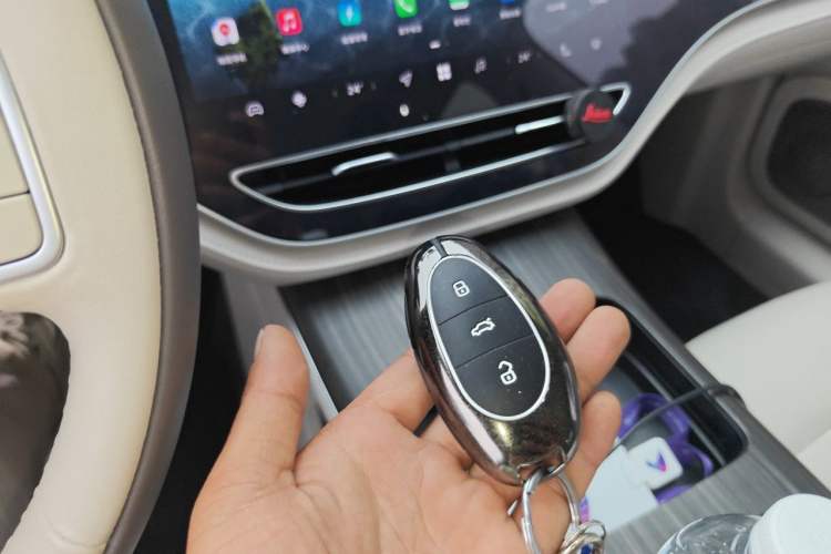 Used Rising F7 2023 Advanced Edition Vehicle Key