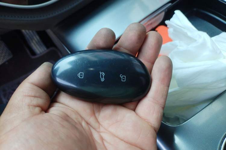 Used Rising F7 2023 Advanced Edition Vehicle Key