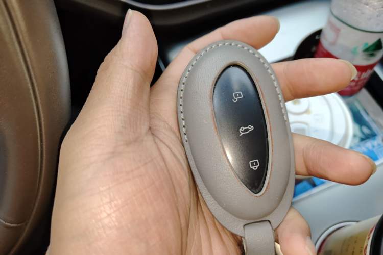 Used Rising F7 2023 Advanced Edition Vehicle Key